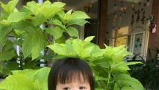 LỜI YÊU THƯƠNG - NGUYỄN HỒ BẢO HÂN - LỚP MG2 LỜI YÊU THƯƠNG - NGUYỄN HỒ BẢO HÂN - LỚP MG2